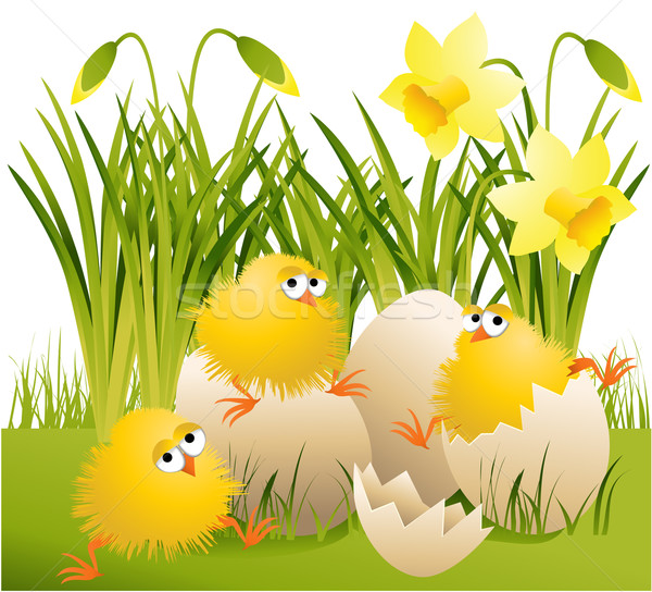 Zdjęcia stock: Wielkanoc · kurczaka · cartoon · wiosną · trawy · dziedzinie
