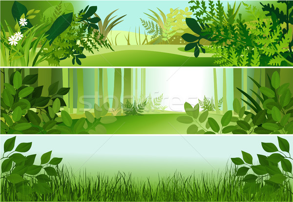 Trzy lasu banery charakter wiosną streszczenie Zdjęcia stock © jagoda