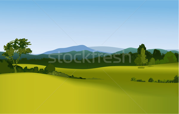 Stock foto: Natur · Vektor · Wald · Berg · Sommer