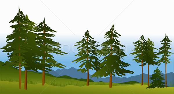 Zöld erdő fenyőfa hegyek vektor tájkép Stock fotó © jagoda