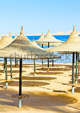 Pusty plaży żółty morza niebieski Zdjęcia stock © jagston