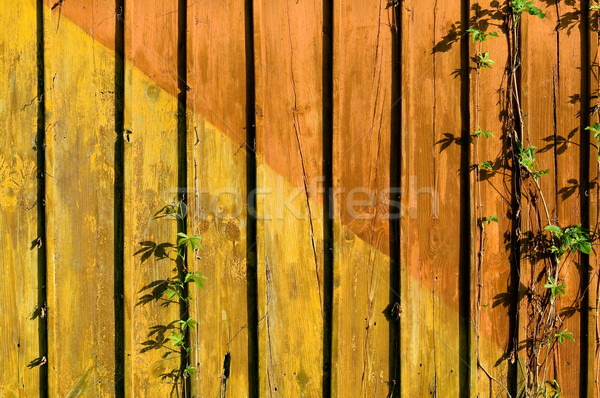 доска красочный текстуры кадр Бар Сток-фото © jakatics