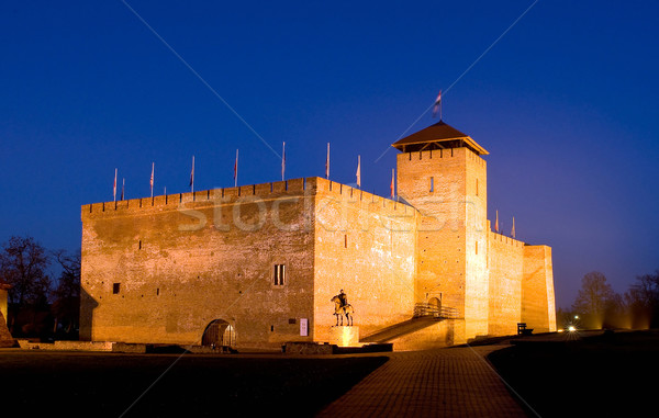 The castle of city Gyula in twilight  Stock photo © jakatics