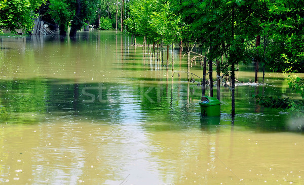 Powodzi rzeki dunaj niebezpieczeństwo naturalnych Zdjęcia stock © jakatics
