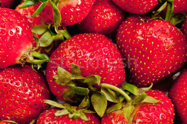 Fragola primo piano rosso fragole foglia frutta Foto d'archivio © jakatics