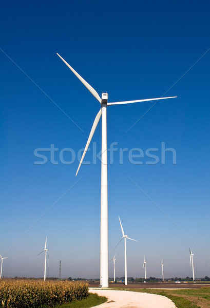 Landscape with wind turbines Stock photo © jakatics
