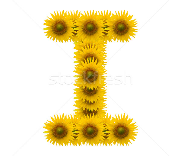 Alphabet Sonnenblumen isoliert weiß Sonne Natur Stock foto © jakgree_inkliang