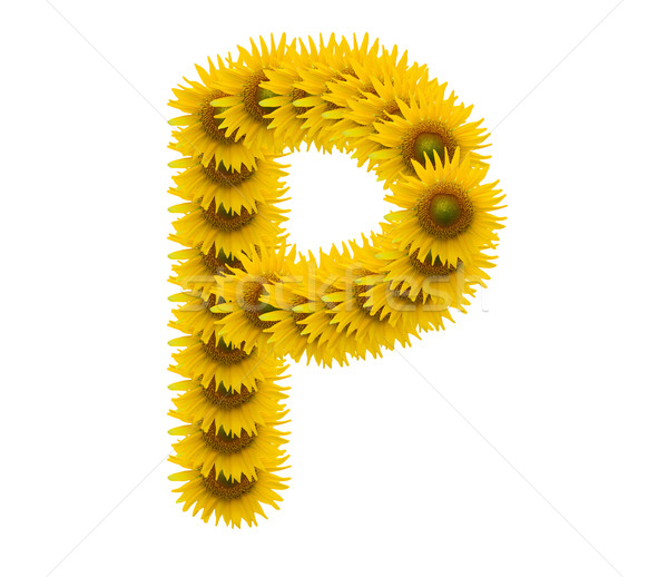 Alphabet Sonnenblumen isoliert weiß Sonne Natur Stock foto © jakgree_inkliang