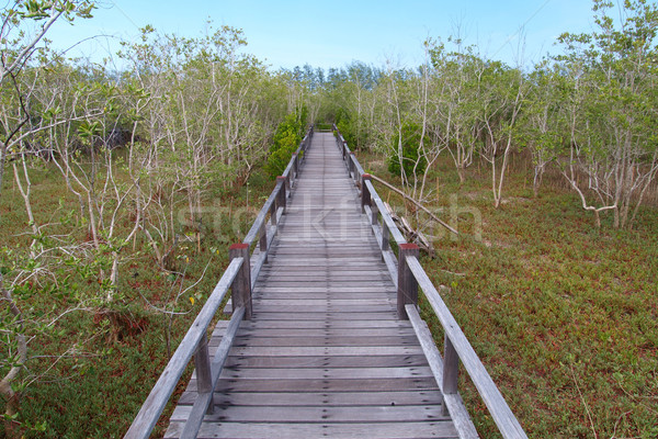 Ahşap köprü doğa mavi park malzeme Stok fotoğraf © jakgree_inkliang