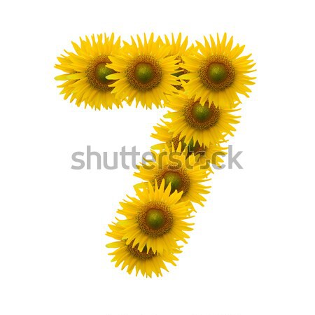 alphabet J, sunflower isolated on white background Stock photo © jakgree_inkliang