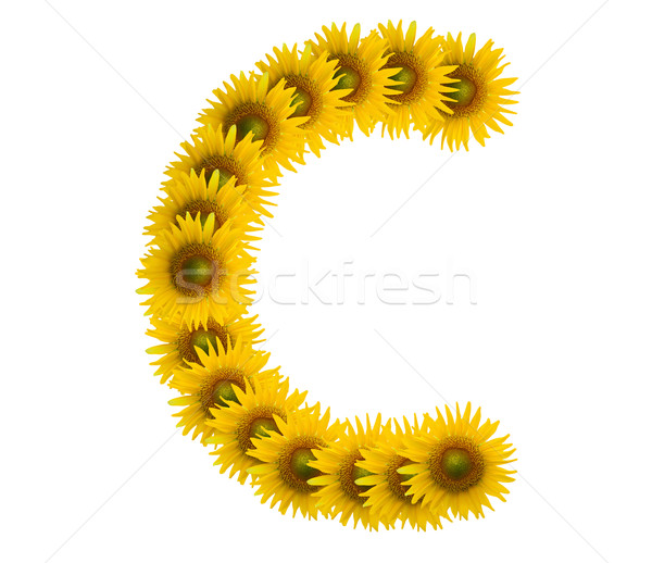 Alphabet Sonnenblumen isoliert weiß Sonne Natur Stock foto © jakgree_inkliang