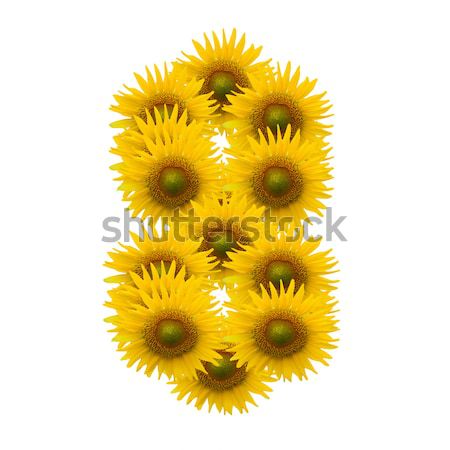 Alphabet Sonnenblumen isoliert weiß Sonne Natur Stock foto © jakgree_inkliang