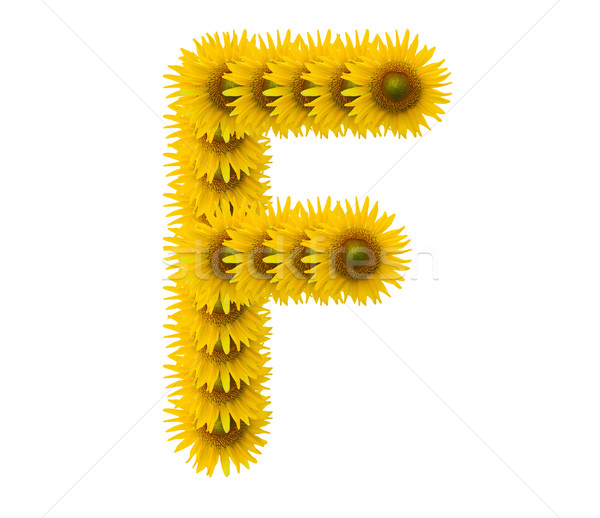 Alphabet Sonnenblumen isoliert weiß Sonne Natur Stock foto © jakgree_inkliang