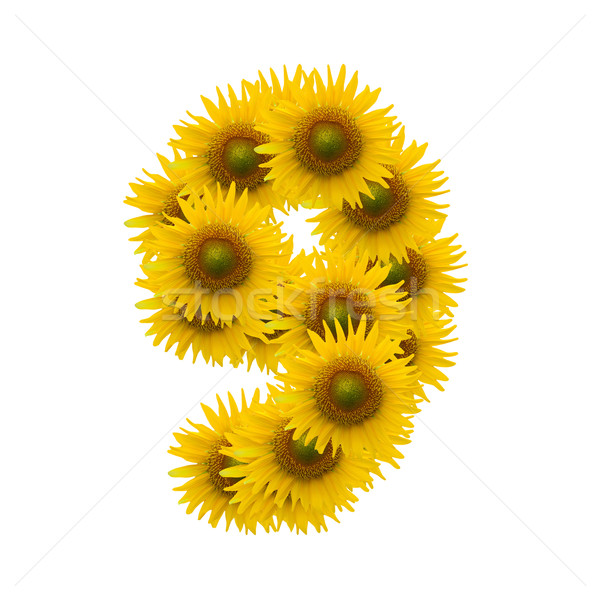 Sonne Blume Alphabet isoliert weiß Frühling Stock foto © jakgree_inkliang