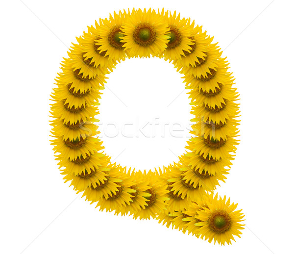 Alphabet Sonnenblumen isoliert weiß Sonne Natur Stock foto © jakgree_inkliang
