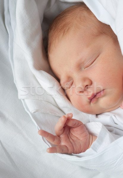 Newborn Baby Stock photo © jamdesign