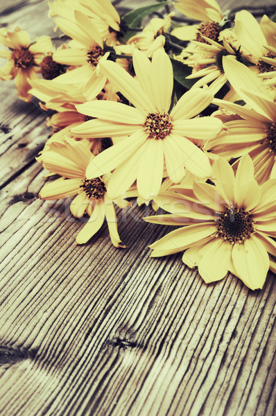 黄色の花 ヴィンテージ 見 黄色 デイジーチェーン ストックフォト © jamdesign