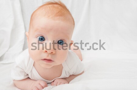 Baby neu geboren Vorderseite weiß Porträt süß Stock foto © jamdesign