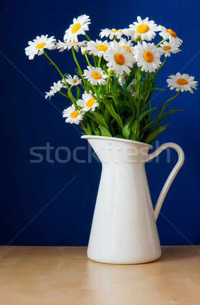 Oxeye Daisies in the Pitcher Stock photo © jamdesign