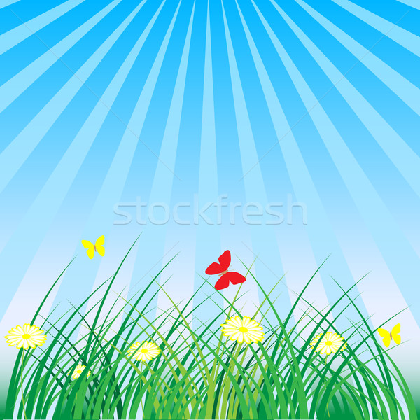 Summer - Spring Nature Background Stock photo © jamdesign