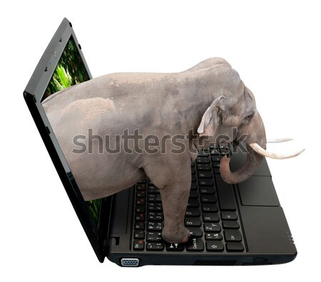 3D ノートブック ネットブック キリン 画面 孤立した ストックフォト © jamdesign
