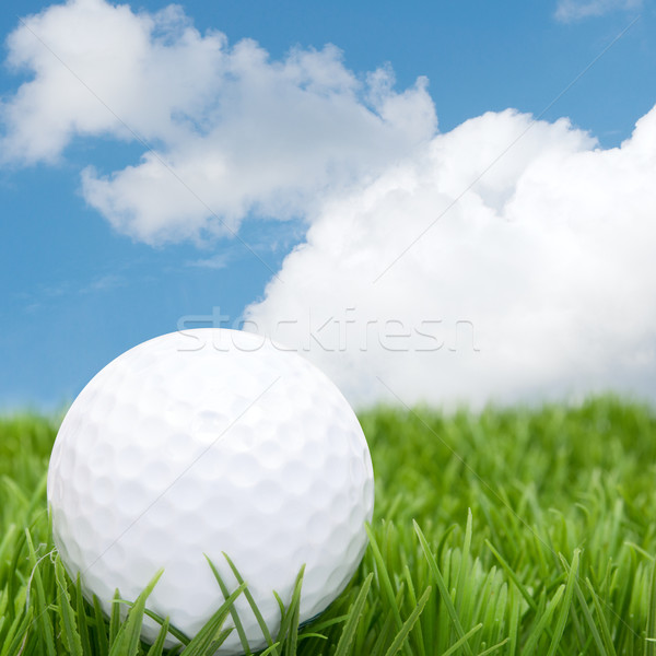 Golfbal gras blauwe hemel wolken voorjaar sport Stockfoto © jamdesign