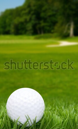Golfball Gras Golfplatz Sport Natur Bereich Stock foto © jamdesign
