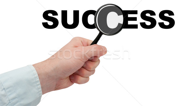 Looking For Success Stock photo © jamdesign