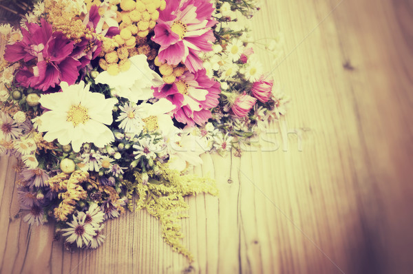 Wild Summer Flowers Stock photo © jamdesign