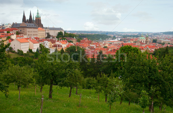 Stockfoto: Praag · kasteel · kathedraal · Tsjechische · Republiek