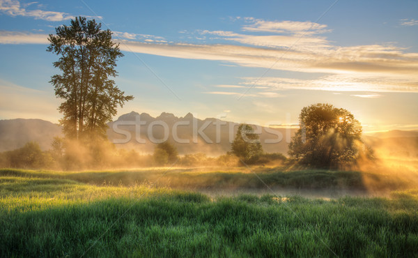 Citromsárga köd napfelkelte hegyek arany fülek Stock fotó © jameswheeler