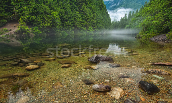 Lago rocce nebbia distanza rock misty Foto d'archivio © jameswheeler
