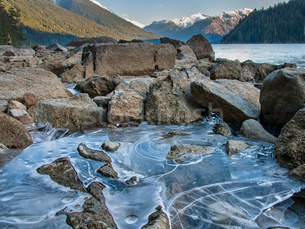 Cheakamus Lake Ice Along Shore Stock photo © jameswheeler