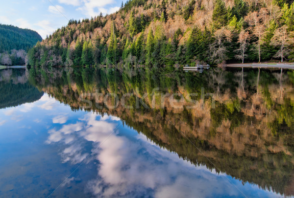 Alice Lake Forest Reflection Stock photo © jameswheeler