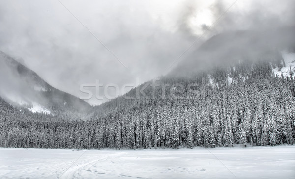 Hó fedett hegy fák egyszerű felhők Stock fotó © jameswheeler