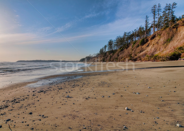 Vast Empty Beach With Pebbles Stock photo © jameswheeler