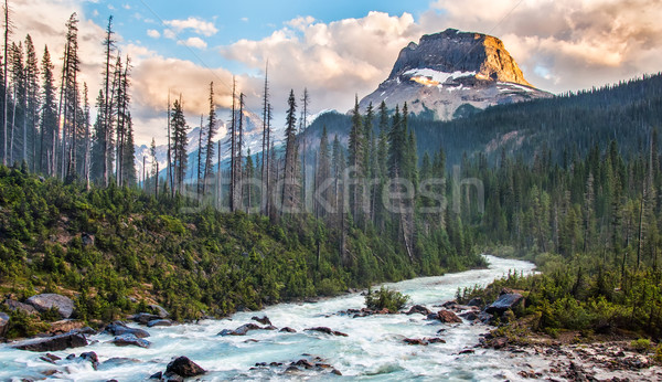 Rockey Peak in Yoho National Park Stock photo © jameswheeler