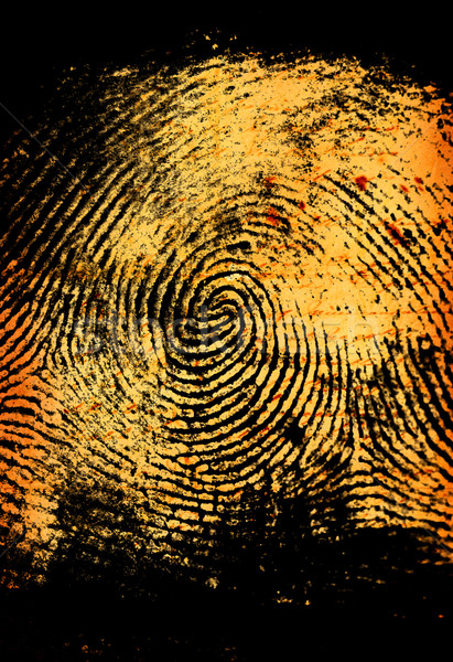 Thumbprint Stock photo © janaka