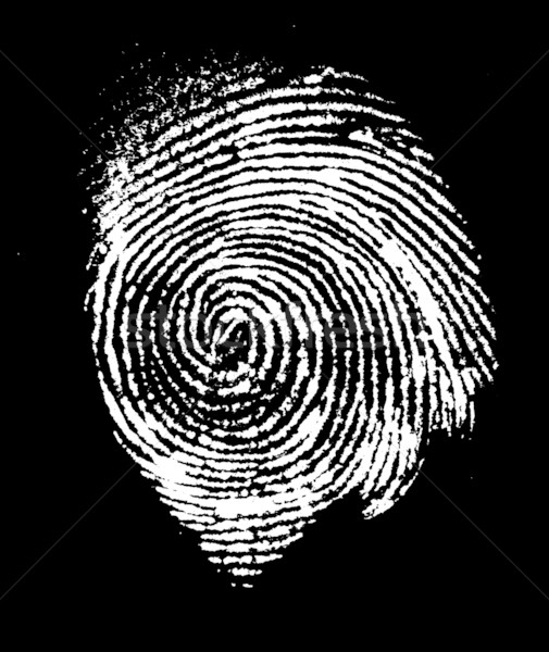 Fingerprint Stock photo © janaka
