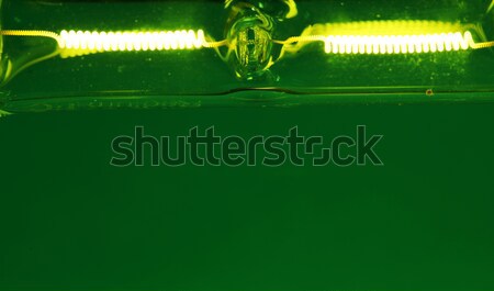 Halógeno bombilla ciencia lámpara energía Foto stock © janaka