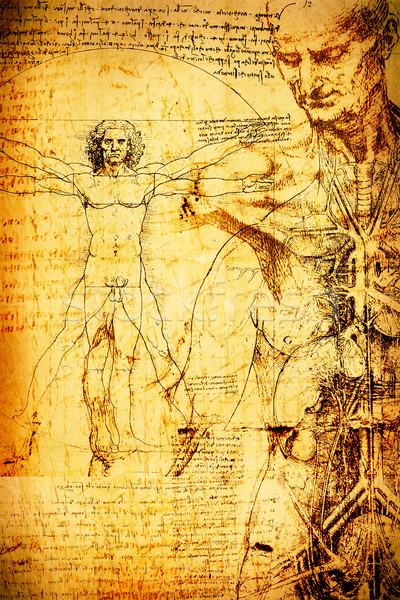 Anatómia művészet építészet biológia Olaszország szimbólum Stock fotó © janaka