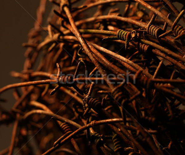 Stock photo: Twisted barb wire