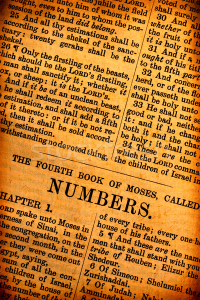 Holy Bible Stock photo © janaka