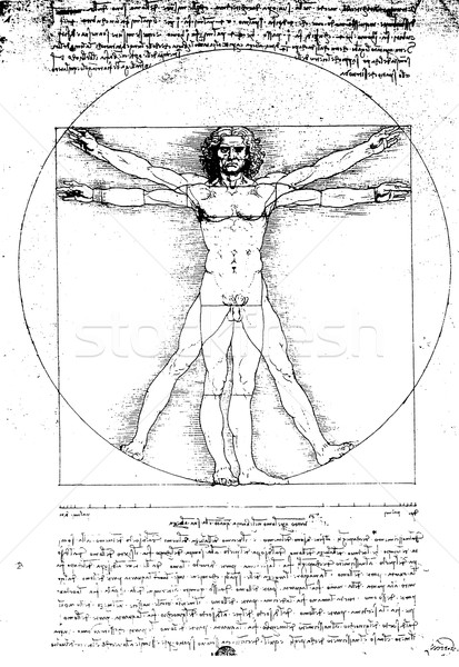 Anatomie Kunst Papier Textur Mann Männer Stock foto © janaka