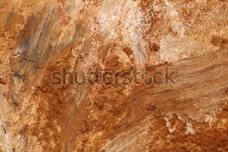 Boden Textur Erde Natur Garten Stock foto © janaka