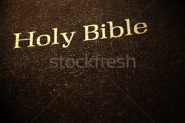 Holy Bible Stock photo © janaka