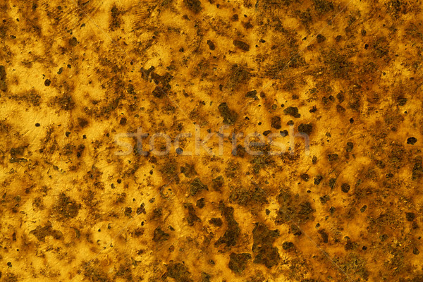 Stock photo: Rusty  Texture