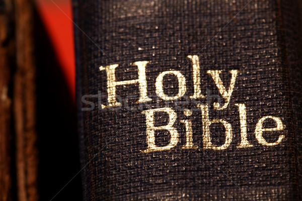 Holy Bible Stock photo © janaka