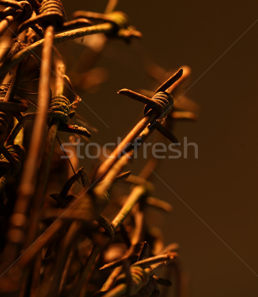 Twisted barb wire Stock photo © janaka