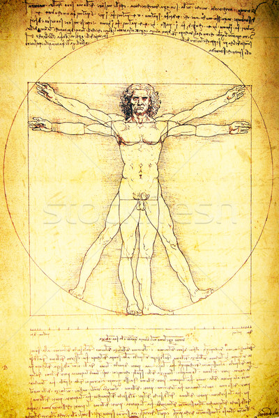 Anatómia művészet építészet biológia Olaszország szimbólum Stock fotó © janaka